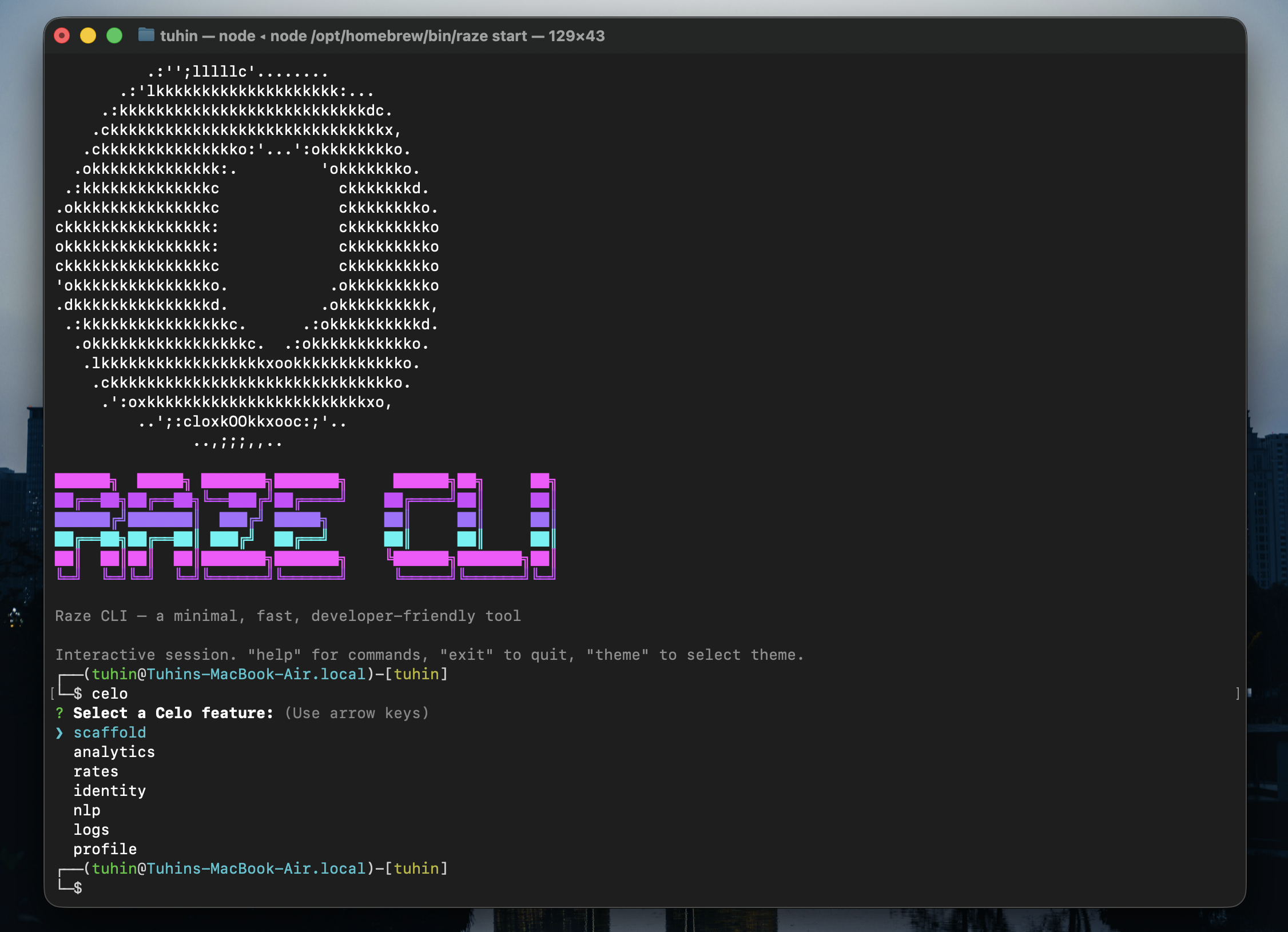 RAZE CLI Terminal Demo